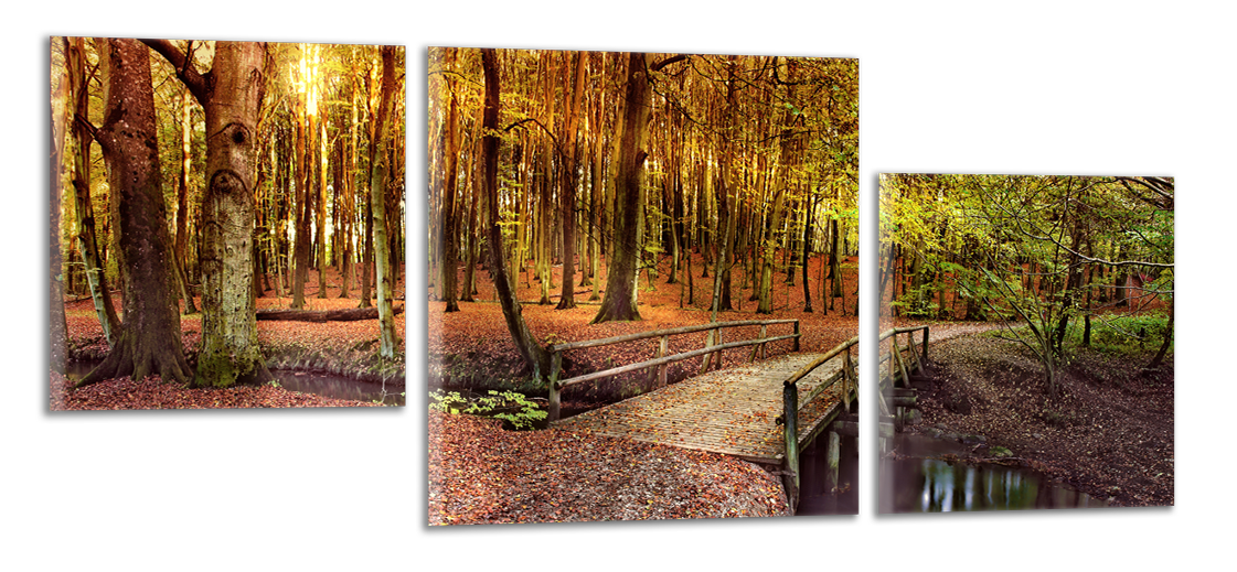 Panoramatický obraz Most v lese