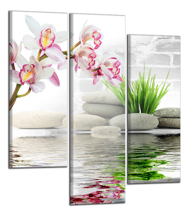 Štvorcový obraz Orchidea a kamene