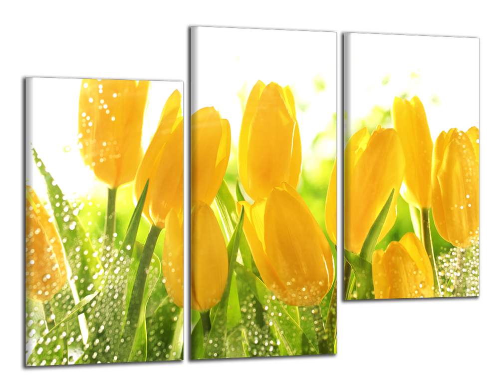 Obdĺžnikový obraz Žlté tulipány