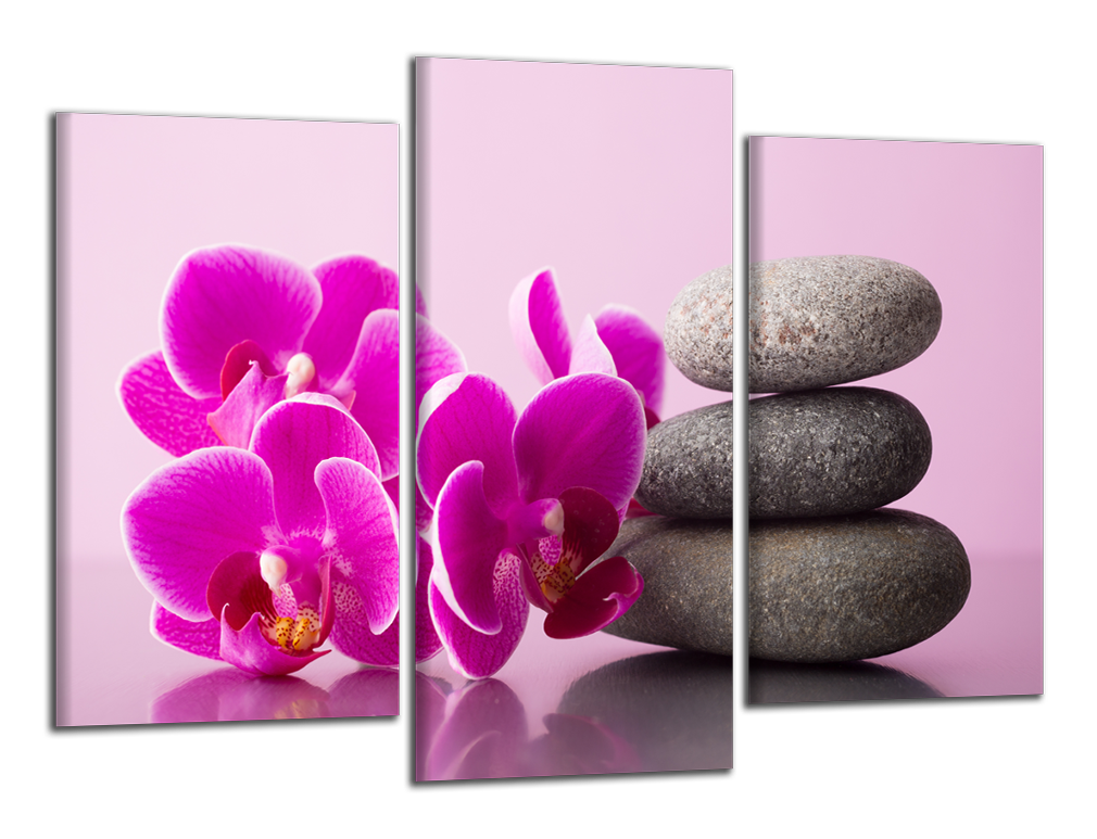 Obdĺžnikový obraz Orchidea a zen kamene