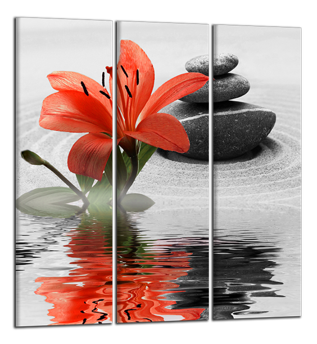 Štvorcový obraz Červený kvet