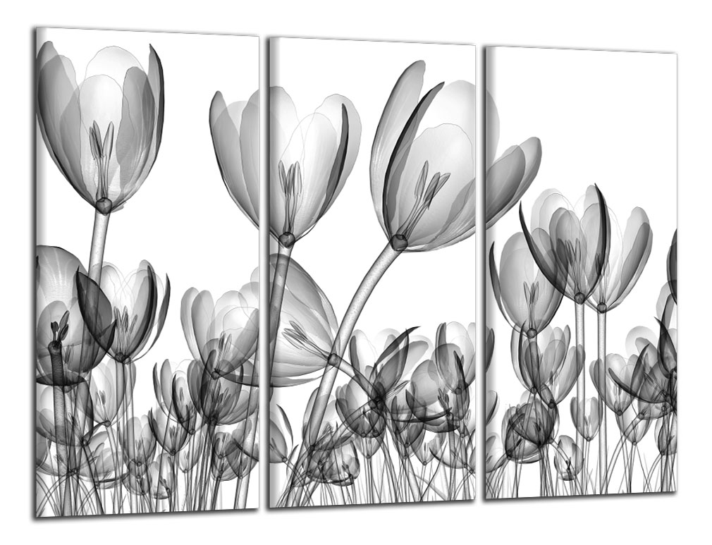 Obdĺžnikový obraz Čiernobiele tulipány