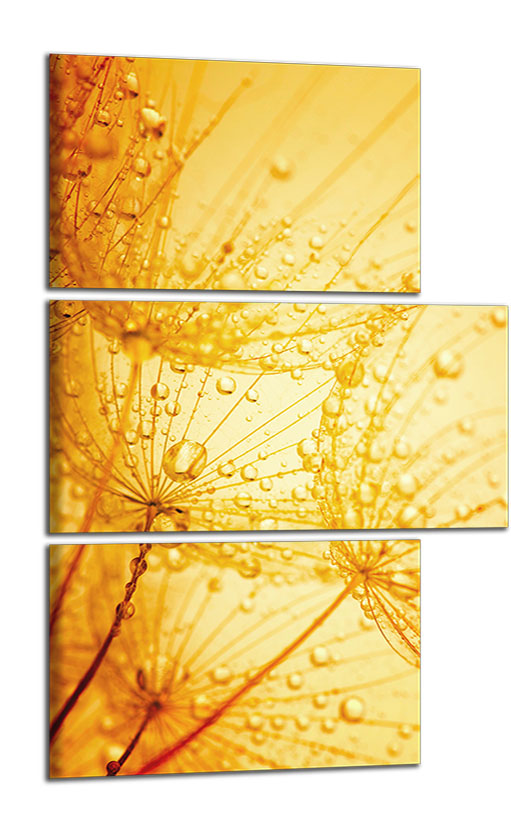 Obdĺžnikový obraz Púpava oranžová abstrakcia
