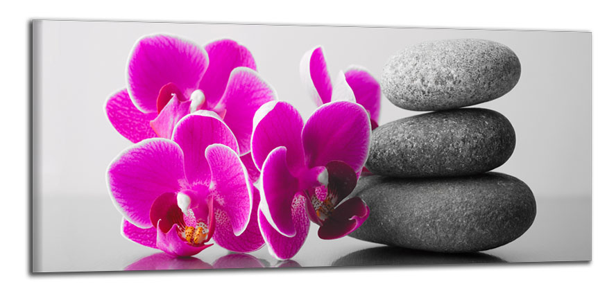 Panoramatický obraz Orchidey a zen kamene