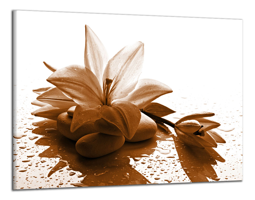 Obdĺžnikový obraz Moderný obraz Hnedý kvet