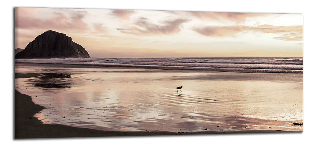 Panoramatický obraz Hnedá pláž