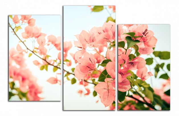 Obdĺžnikový obraz Detail kvetov