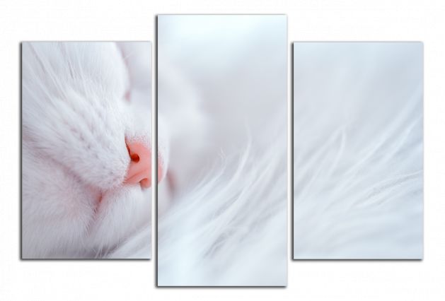Obdĺžnikový obraz Spiaca mačka