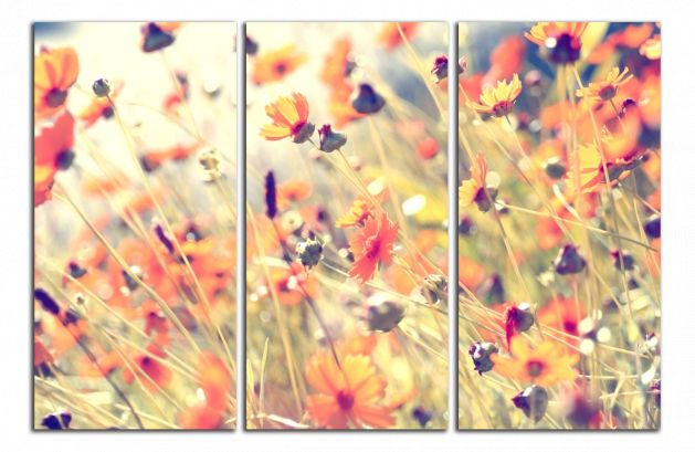 Obdĺžnikový obraz Polné kvety