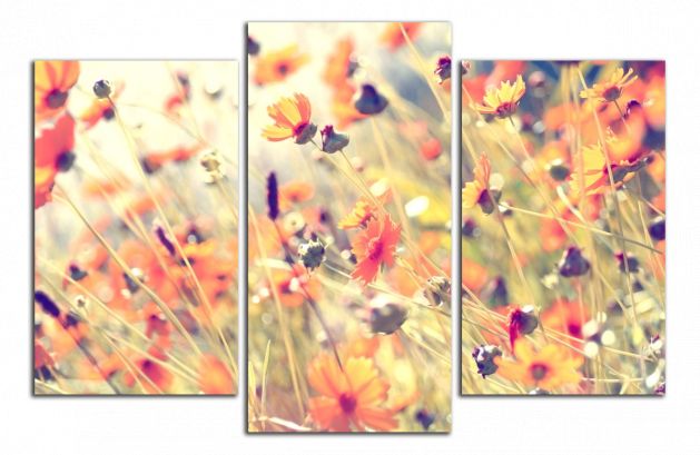 Obdĺžnikový obraz Polné kvety