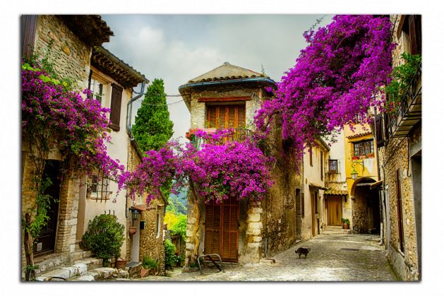 Obdĺžnikový obraz Provence