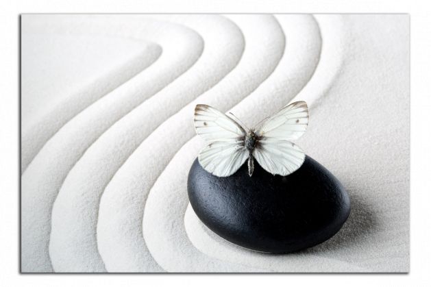 Obdĺžnikový obraz Motýľ a kameň