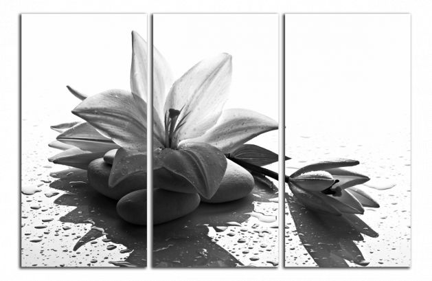 Obdĺžnikový obraz Čiernobiely Kvet