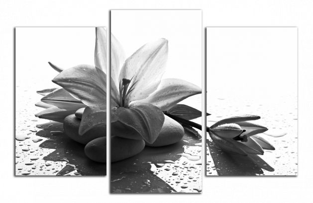 Obdĺžnikový obraz Čiernobiely Kvet
