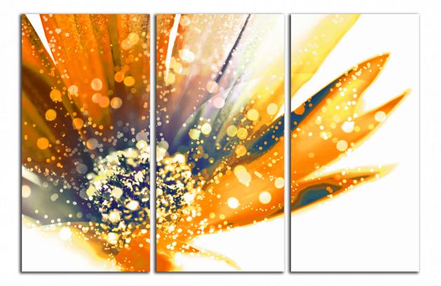 Obdĺžnikový obraz Oranžový kvet