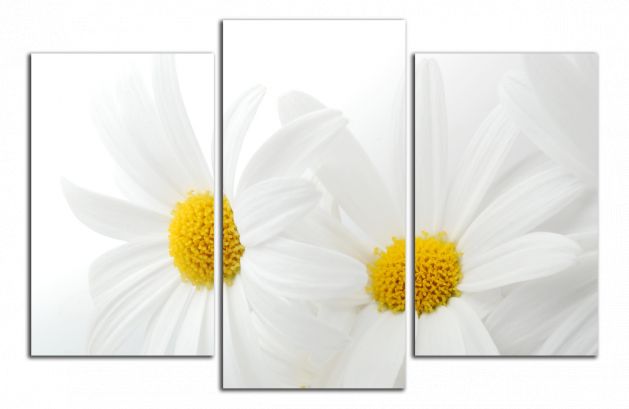 Obdĺžnikový obraz Biele kvety