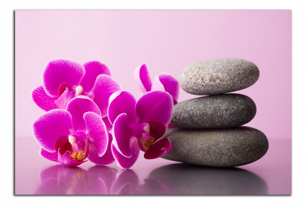 Obdĺžnikový obraz Orchidea a zen kamene
