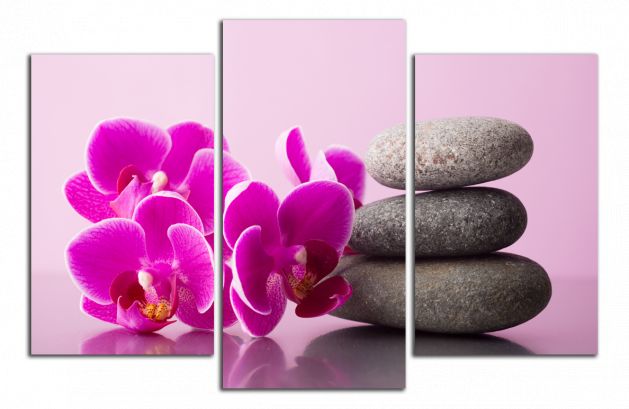 Obdĺžnikový obraz Orchidea a zen kamene