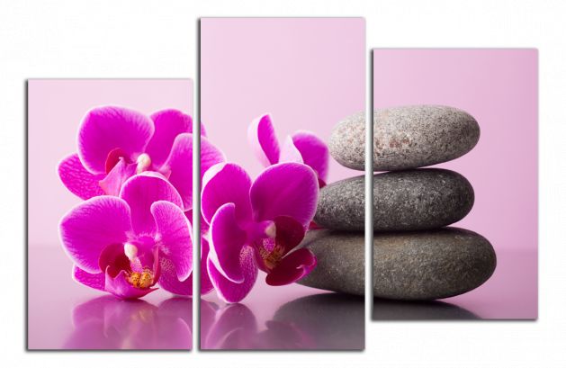 Obdĺžnikový obraz Orchidea a zen kamene