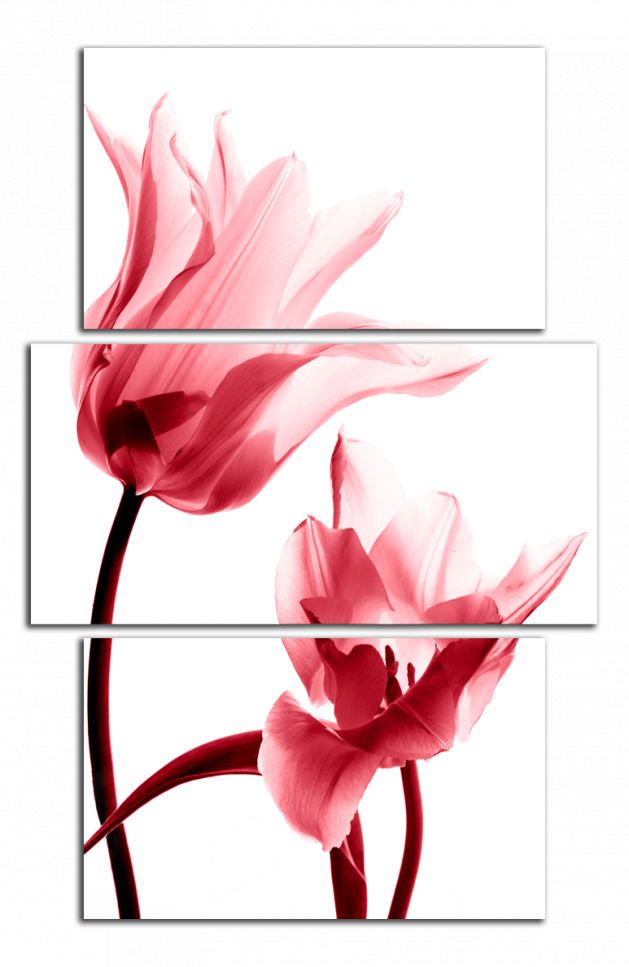 Obdĺžnikový obraz Červené tulipány