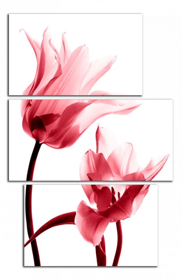 Obdĺžnikový obraz Červené tulipány