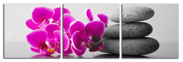 Panoramatický obraz Orchidey a zen kamene