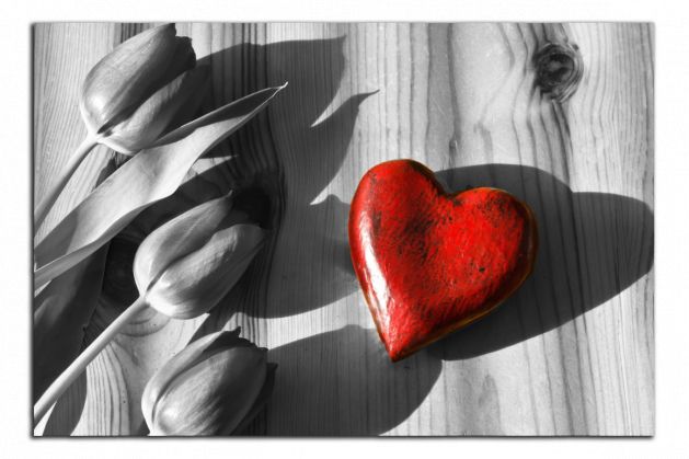 Obdĺžnikový obraz Srdce a tulipány