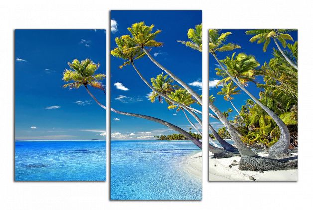 Obdĺžnikový obraz Obraz na stenu Pláž a palmy