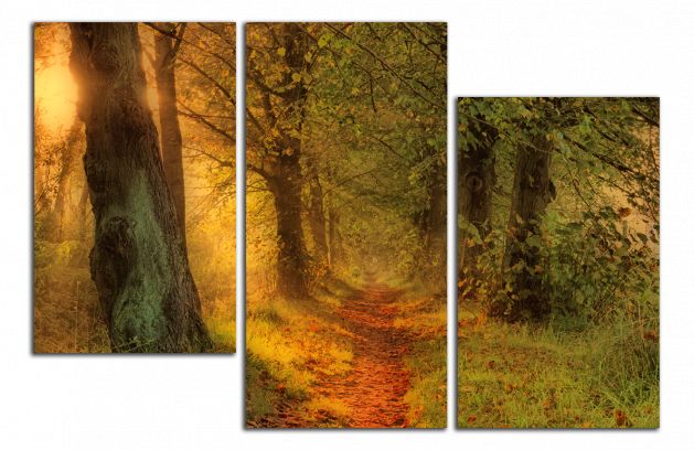 Obdĺžnikový obraz Cesta v lese