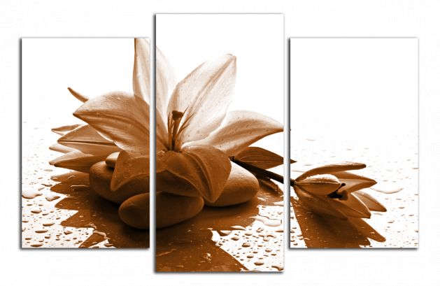 Obdĺžnikový obraz Moderný obraz Hnedý kvet
