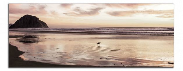 Panoramatický obraz Hnedá pláž