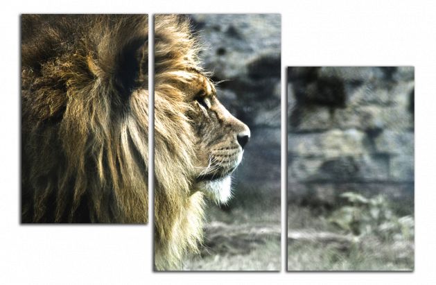 Obdĺžnikový obraz Lev