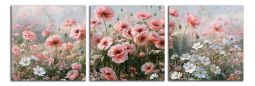 C1655DP