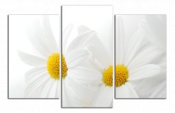 C3062CO