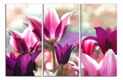 C4128BO