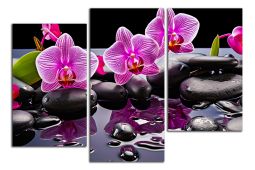 C4165DO